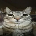 yangtzeboi