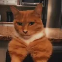 andyvv.