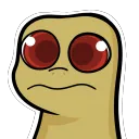 alphakomodo