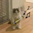 itsmorai