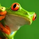 frog1459
