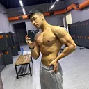 horselie