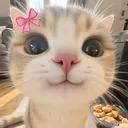 liljacob