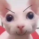 axel?'s Avatar