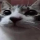Pabhloko's Discord profile picture