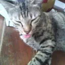 .ares13