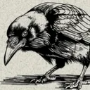 corvidcrusader avatar