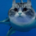 avatar Let It Happen