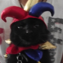 Discord Avatar