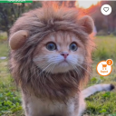 kunfubi#0719's avatar