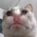 mari_o3o