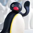 pingumychingu