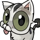mr_miaou