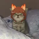 bingus_of_wales