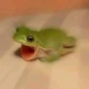 yukishine520365's Avatar