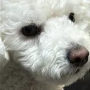 jun_e0