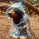 avatar 1