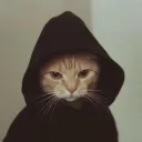 bumdacat