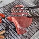 sekitero