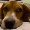 shiftedbits