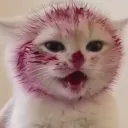 derpymemeo