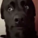 angryninja720