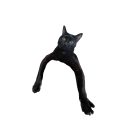 avatar colloquialisms