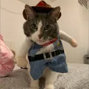 ryinnie