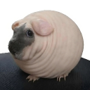 avatar Sodii