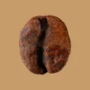 grumpybean