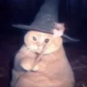 xblackclaw