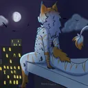 chasing_timez