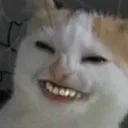 jankotron_5000
