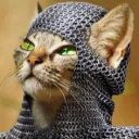kittenpaw