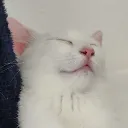 fluffyalien