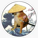 .kasacheem
