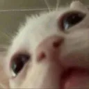 dylanjp