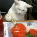 beetroot3981