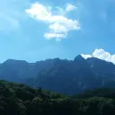 tiny_birds
