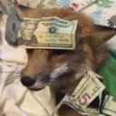 cajunfox2k