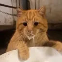 f_uu