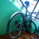 mdodong