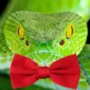 jakesnakemate avatar