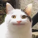 monsieurjo_