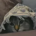 bajon.