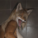 avatar ꜱʀɪʀᴀᴄʜᴀ ᴍᴀʏᴏ ꜰᴏxxx