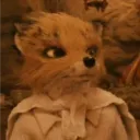 foxyofjungle