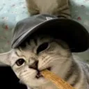 franqt