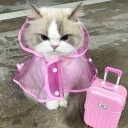 avatar TR | Enyeuoii ☂