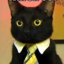 catlesscat_#1288's avatar